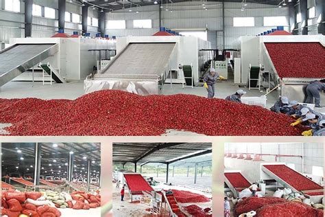 commercial food dryer machine|Industrial Food Drying Machines & Commercial .